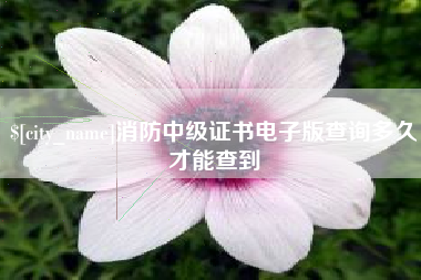 泗洪消防中级证书电子版查询多久才能查到