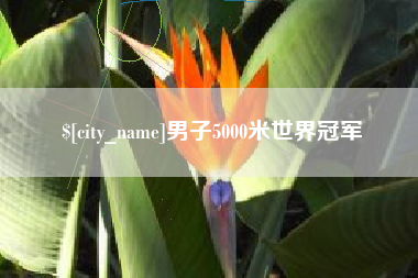 泗洪男子5000米世界冠军