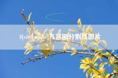 泗洪九宫图分割线图片