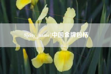 泗洪中国金牌包括