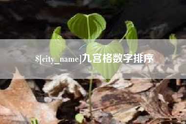 泗洪九宫格数字排序