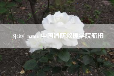 泗洪中国消防救援学院航拍