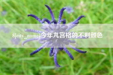 泗洪今年九宫格的不利颜色