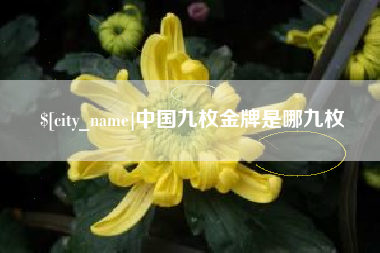 泗洪中国九枚金牌是哪九枚