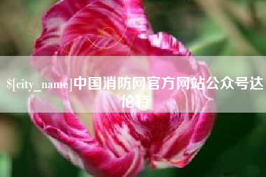 泗洪中国消防网官方网站公众号达伦特
