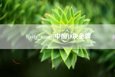 泗洪中国19块金牌