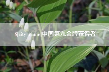 泗洪中国第九金牌获得者