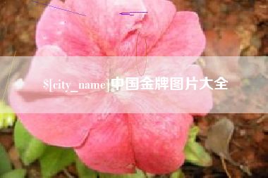 泗洪中国金牌图片大全
