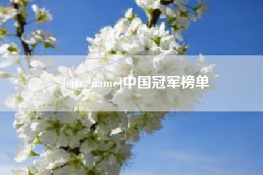 泗洪中国冠军榜单