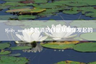 泗洪全国消防日是从哪年发起的