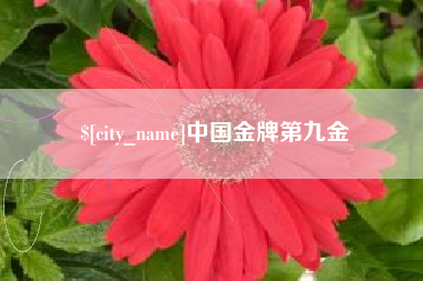 泗洪中国金牌第九金