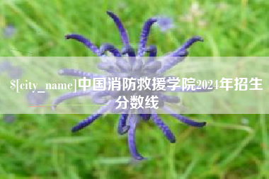 泗洪中国消防救援学院2024年招生分数线