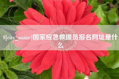 泗洪国家应急救援员报名网址是什么