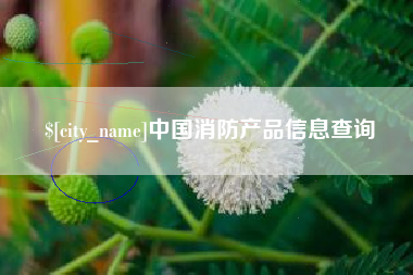 泗洪中国消防产品信息查询