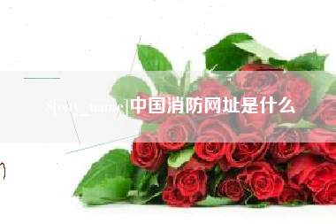 泗洪中国消防网址是什么
