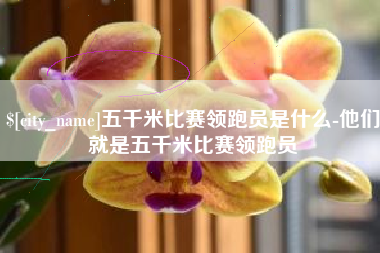泗洪五千米比赛领跑员是什么-他们就是五千米比赛领跑员
