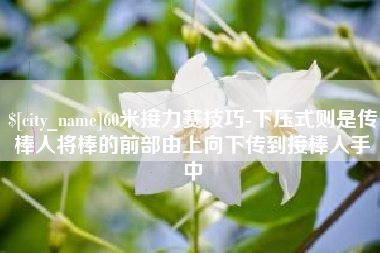 泗洪60米接力赛技巧-下压式则是传棒人将棒的前部由上向下传到接棒人手中