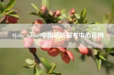 泗洪中国消防报考中心官网
