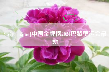 泗洪中国金牌榜2024巴黎奥运会最新