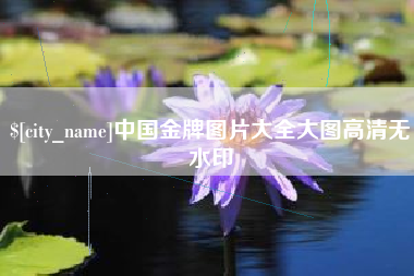 泗洪中国金牌图片大全大图高清无水印