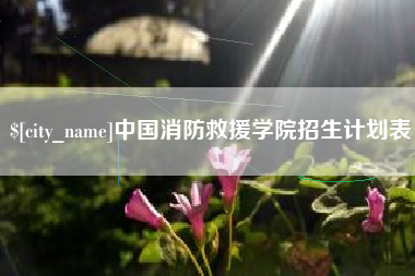 泗洪中国消防救援学院招生计划表