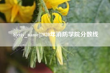 泗洪2020年消防学院分数线