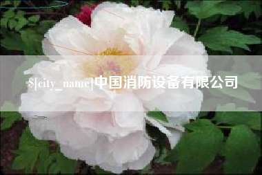 泗洪中国消防设备有限公司