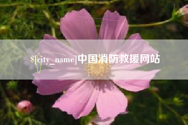 泗洪中国消防救援网站