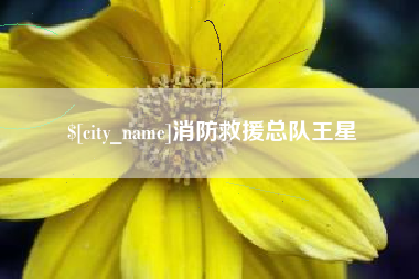 泗洪消防救援总队王星