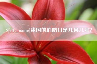 泗洪我国的消防日是几月几号？