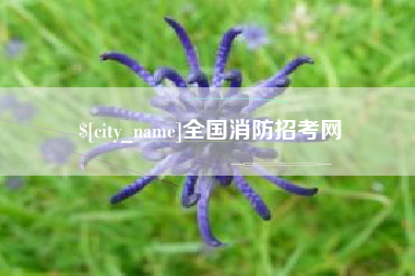 泗洪全国消防招考网