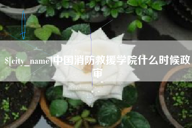 泗洪中国消防救援学院什么时候政审