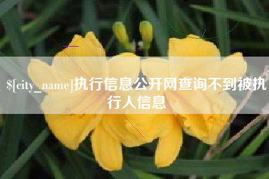 泗洪执行信息公开网查询不到被执行人信息