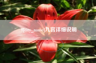 泗洪九宫详细说明