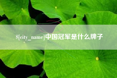 泗洪中国冠军是什么牌子