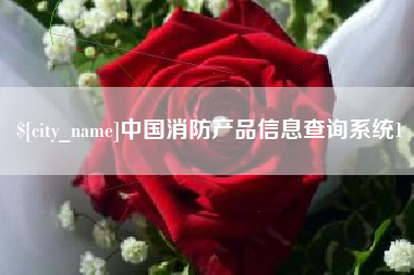 泗洪中国消防产品信息查询系统1