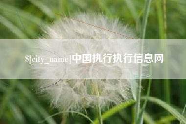 泗洪中国执行执行信息网