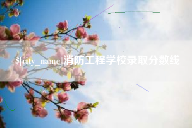 泗洪消防工程学校录取分数线