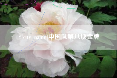 泗洪中国队第八块金牌
