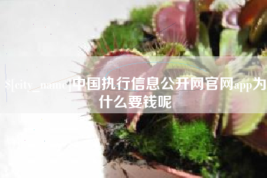 泗洪中国执行信息公开网官网app为什么要钱呢