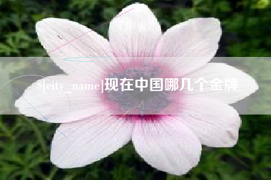 泗洪现在中国哪几个金牌