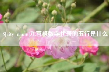泗洪九宫格数字代表的五行是什么