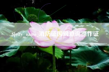泗洪消防证国网查询操作证