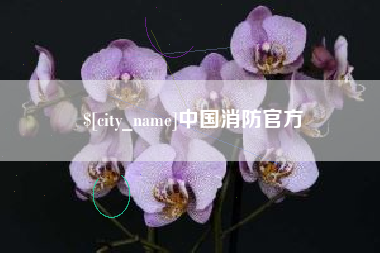 泗洪中国消防官方