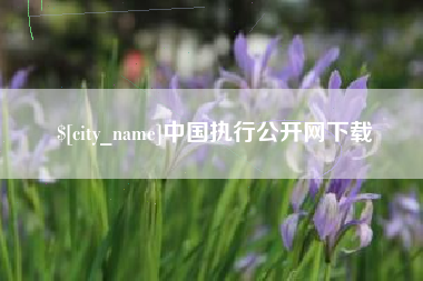 泗洪中国执行公开网下载