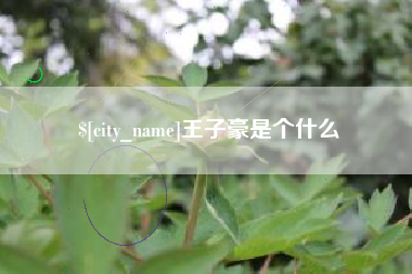 泗洪王子豪是个什么