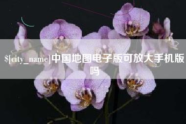 泗洪中国地图电子版可放大手机版吗
