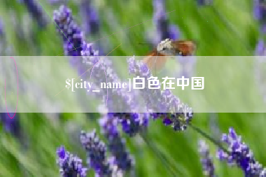 泗洪白色在中国