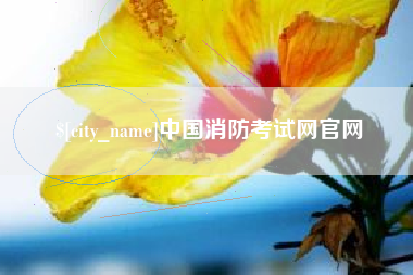 泗洪中国消防考试网官网