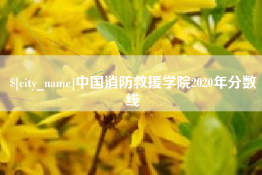 泗洪中国消防救援学院2020年分数线